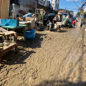Pomoc Tajfun – dowolna
